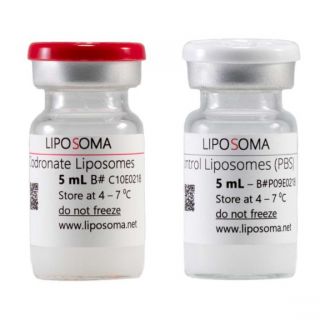Clodronate Liposomes and Control Liposome 巨噬細(xì)胞清除套裝