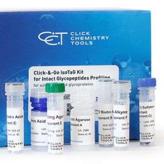 同位素靶向糖蛋白組學(xué) (IsoTag)Click-&-Go IsoTaG Kit for Intact Glycopeptides Profiling （for azide-modified glycoproteins）